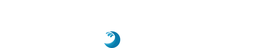 Logo-VALVOLE-SANITARIE-bianco